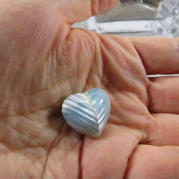 REAL Sea Shells in a Glass Square Vase and sand #10 Larger - Picture 10 of 13